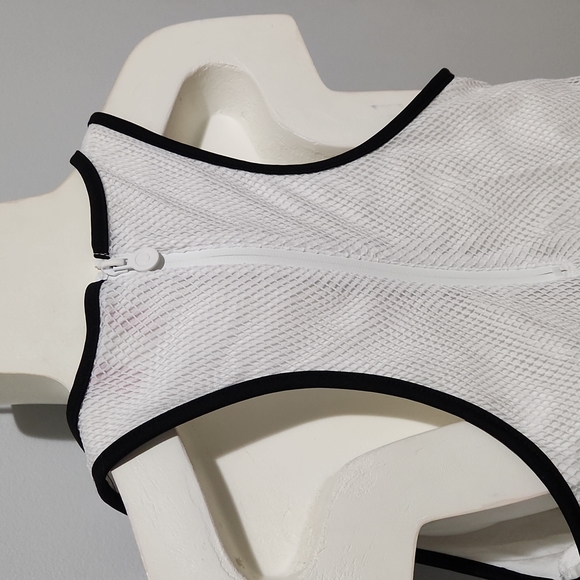 Hunter Drawstring Mesh Dress - Picture 7 of 10